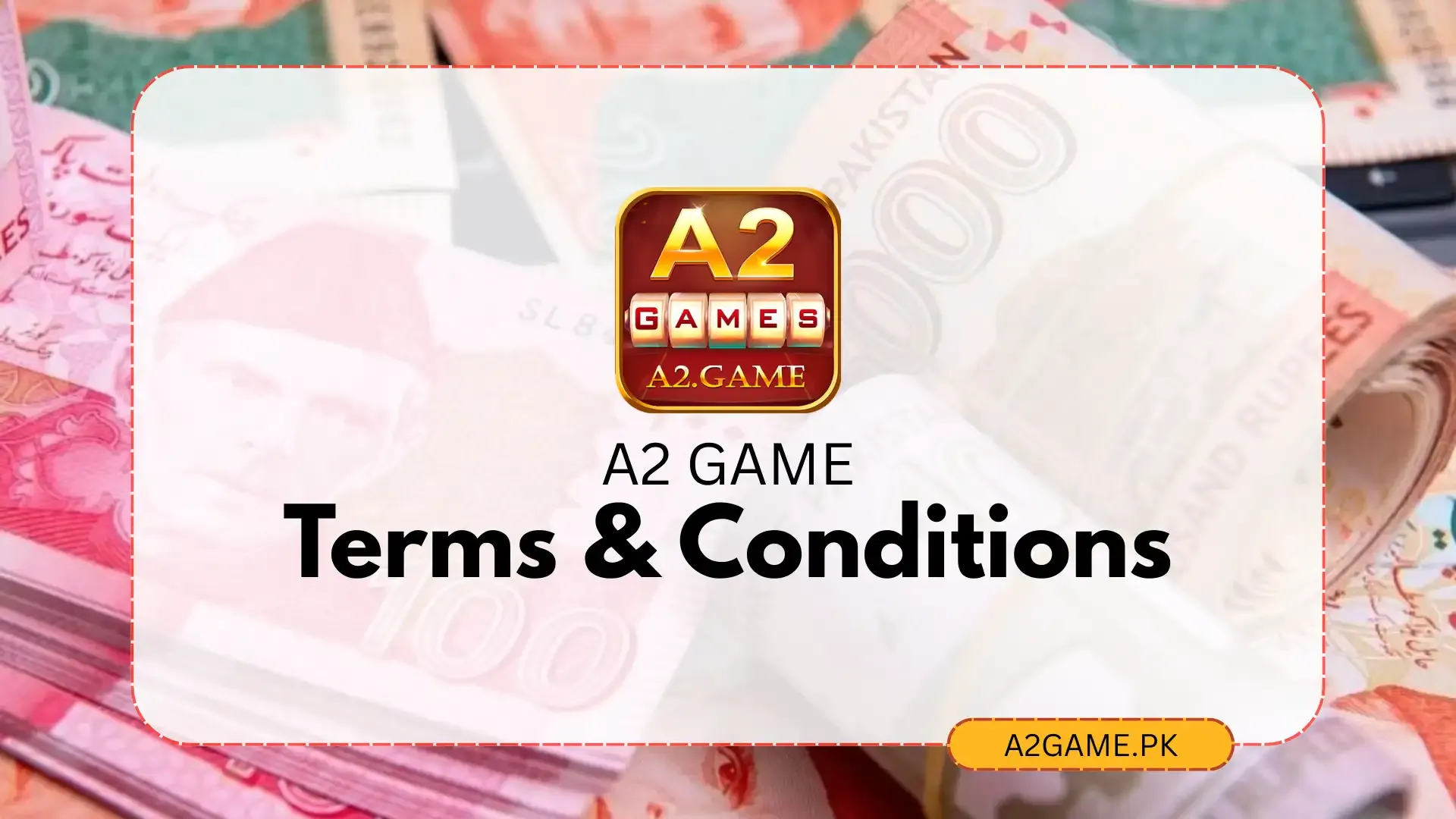 Terms and Conditions